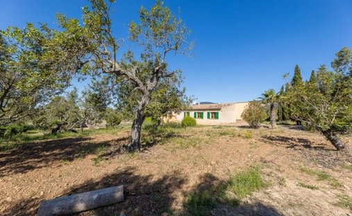 Azienda agricola a Alaró, Isole Baleari, Spagna 1