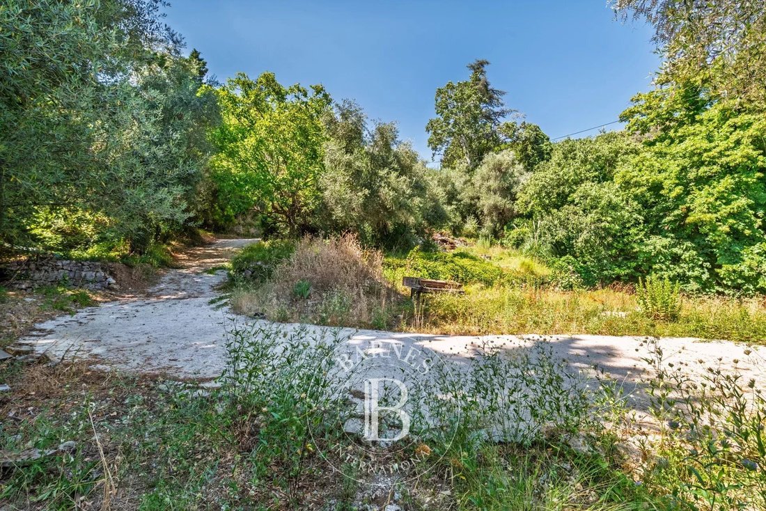 Land in Grasse, Provence-Alpes-Côte d'Azur, France 3 - 17429575