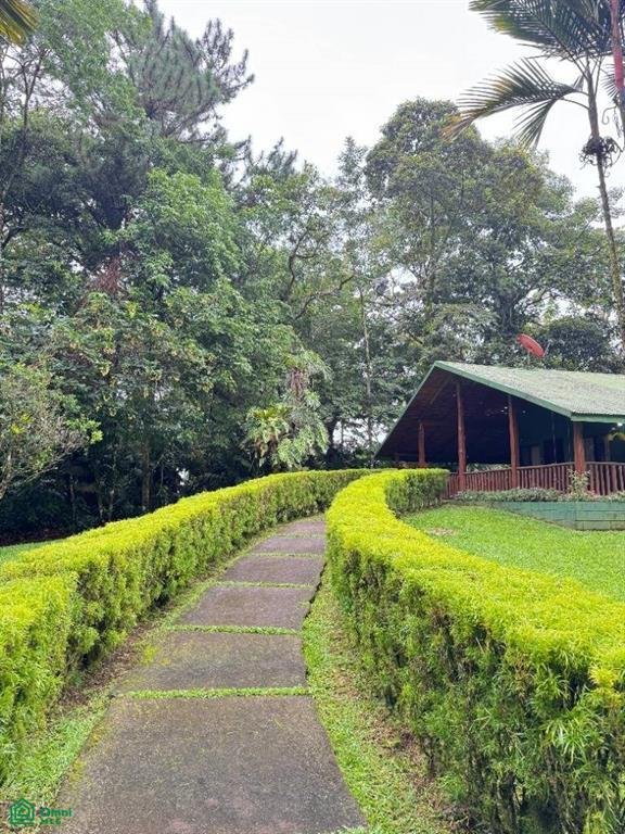 Terrain à Venecia, Alajuela, Costa Rica 2 - 17814557