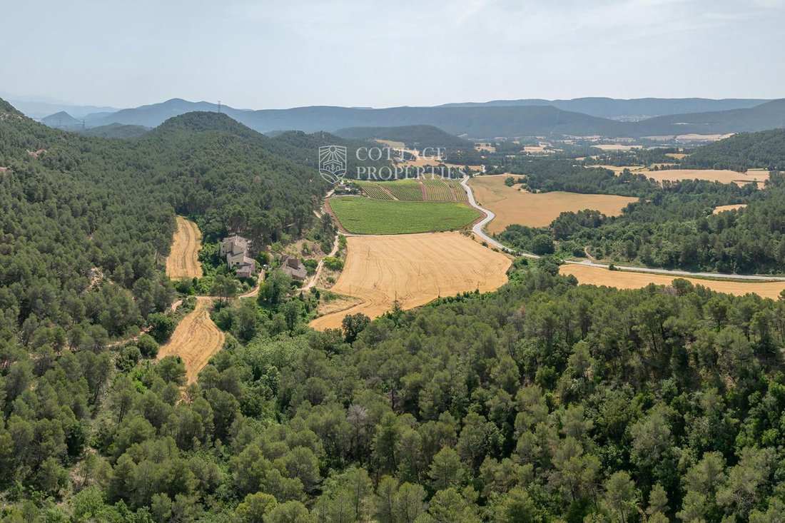 Finca in la Torre de Claramunt, Catalonia, Spain 4 - 18352821