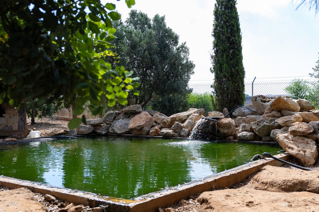 Villa in Güvercinlik, Famagusta, Cyprus 3 - 18352854