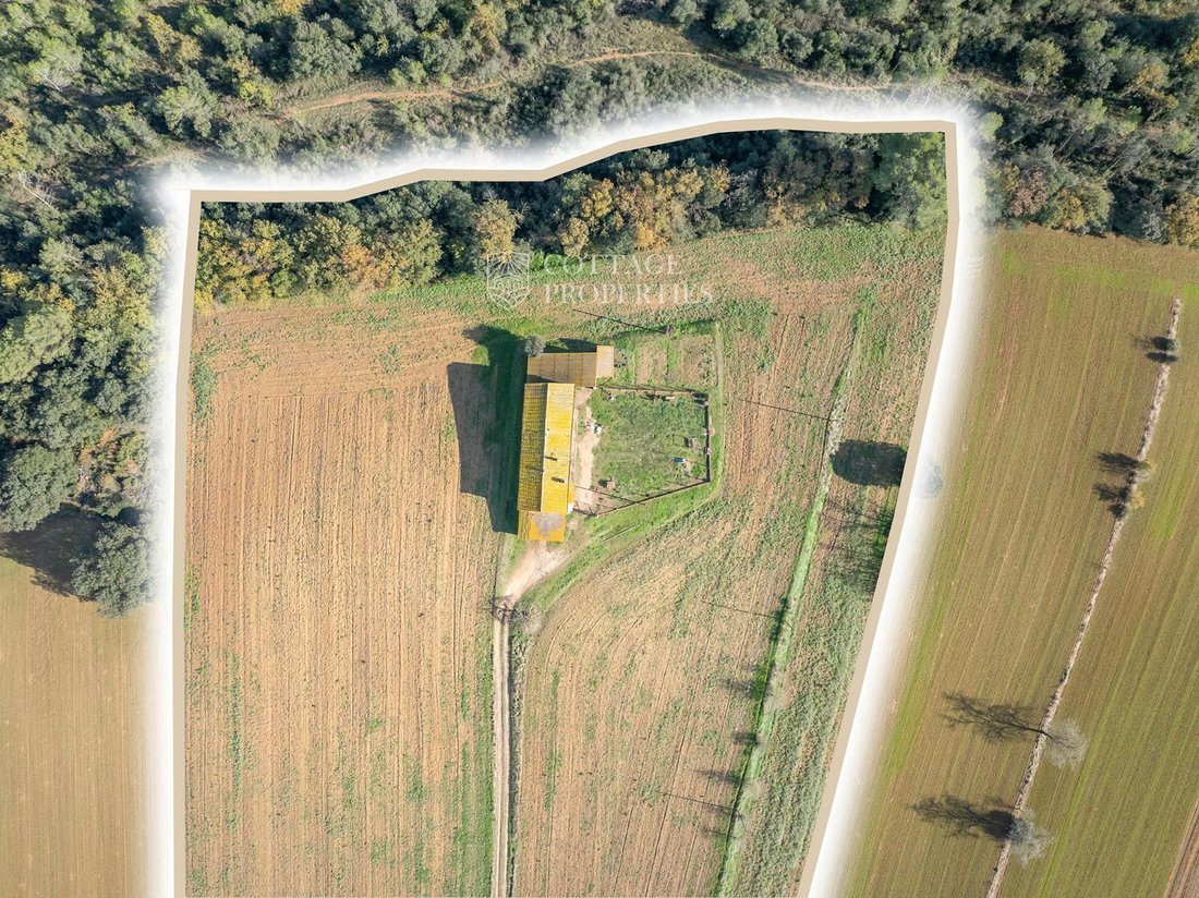 Finca in Viladasens, Catalonia, Spain 4 - 18352848