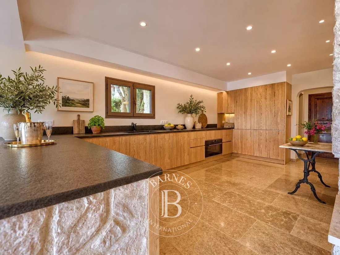 Villa in Saint-Paul-de-Vence, Provence-Alpes-Côte d'Azur, France 5 - 17375308
