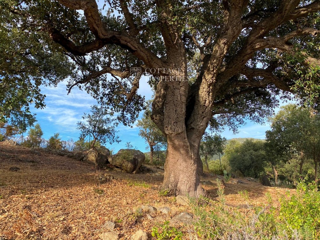 Finca in la Jonquera, Catalonia, Spain 3 - 18352258