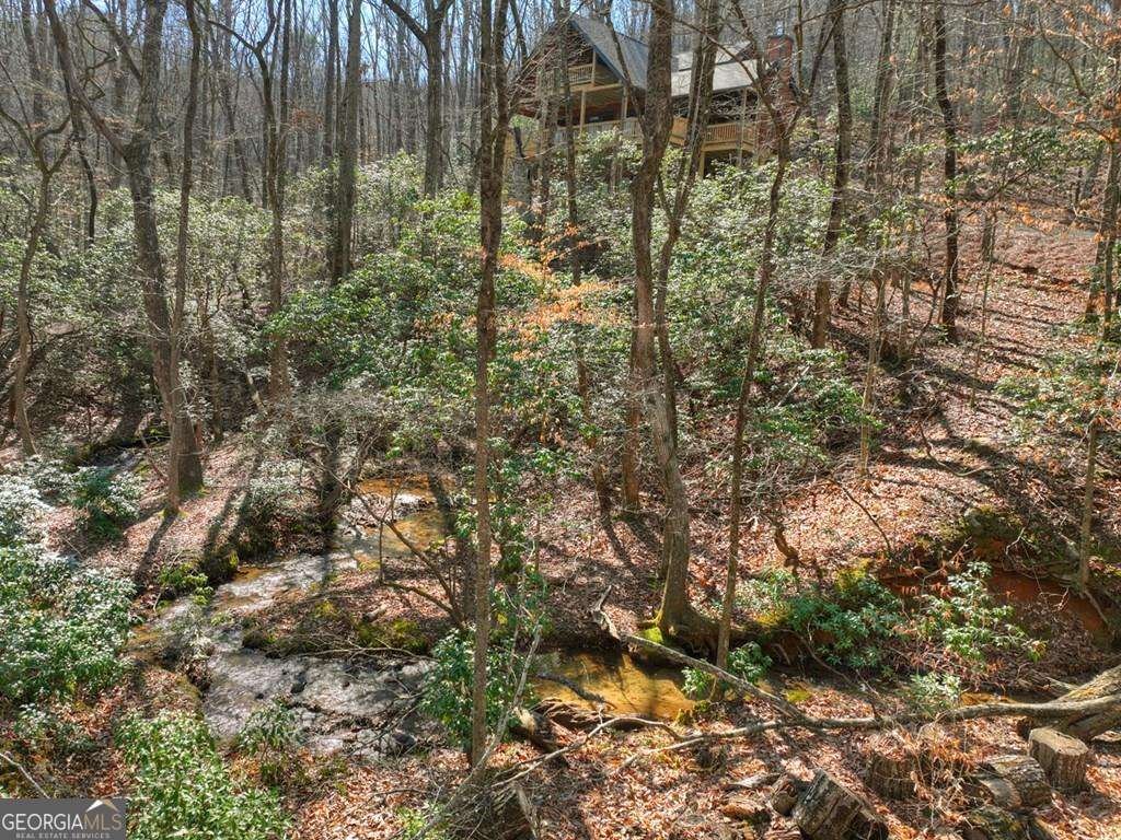 Blue Ridge, Georgia, United States 2 - 18353306