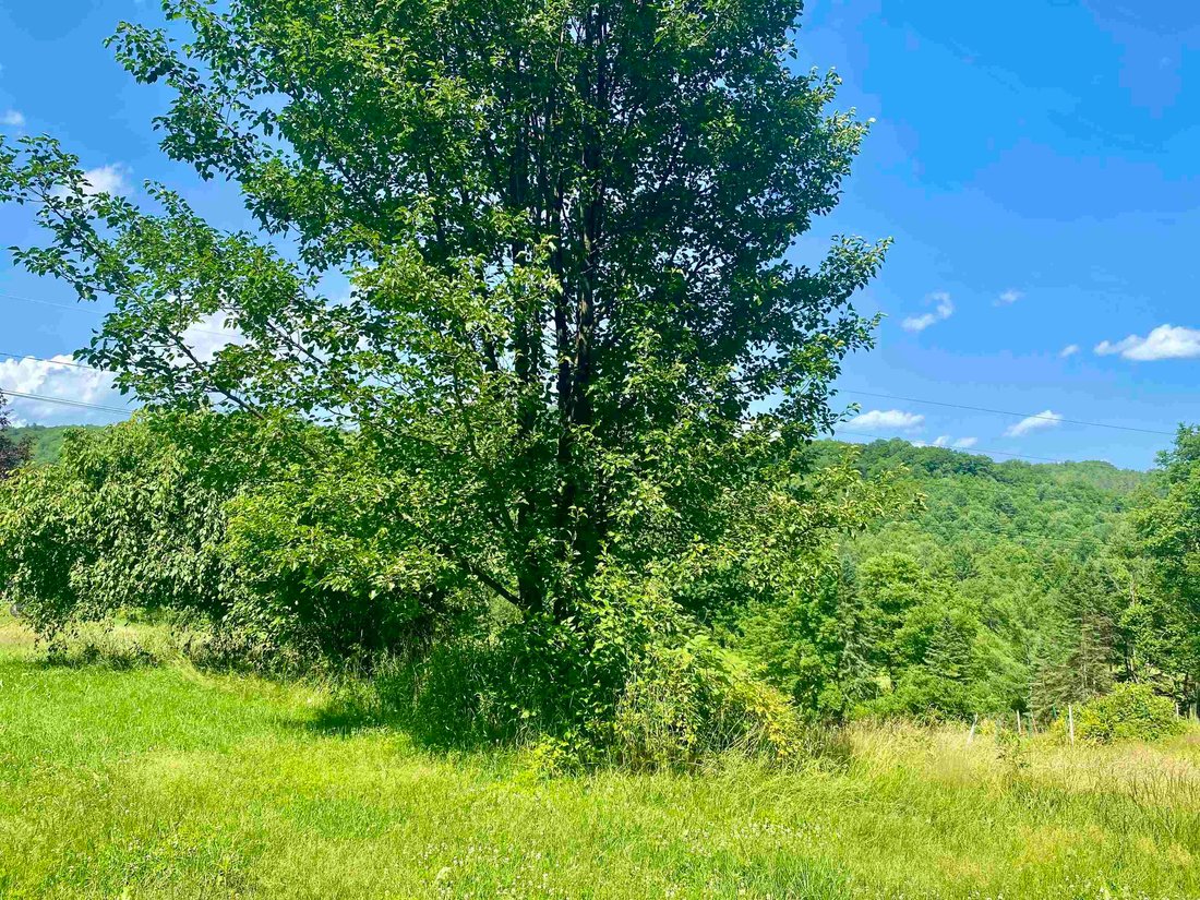 House in Pomfret, Vermont, United States 5 - 18351266