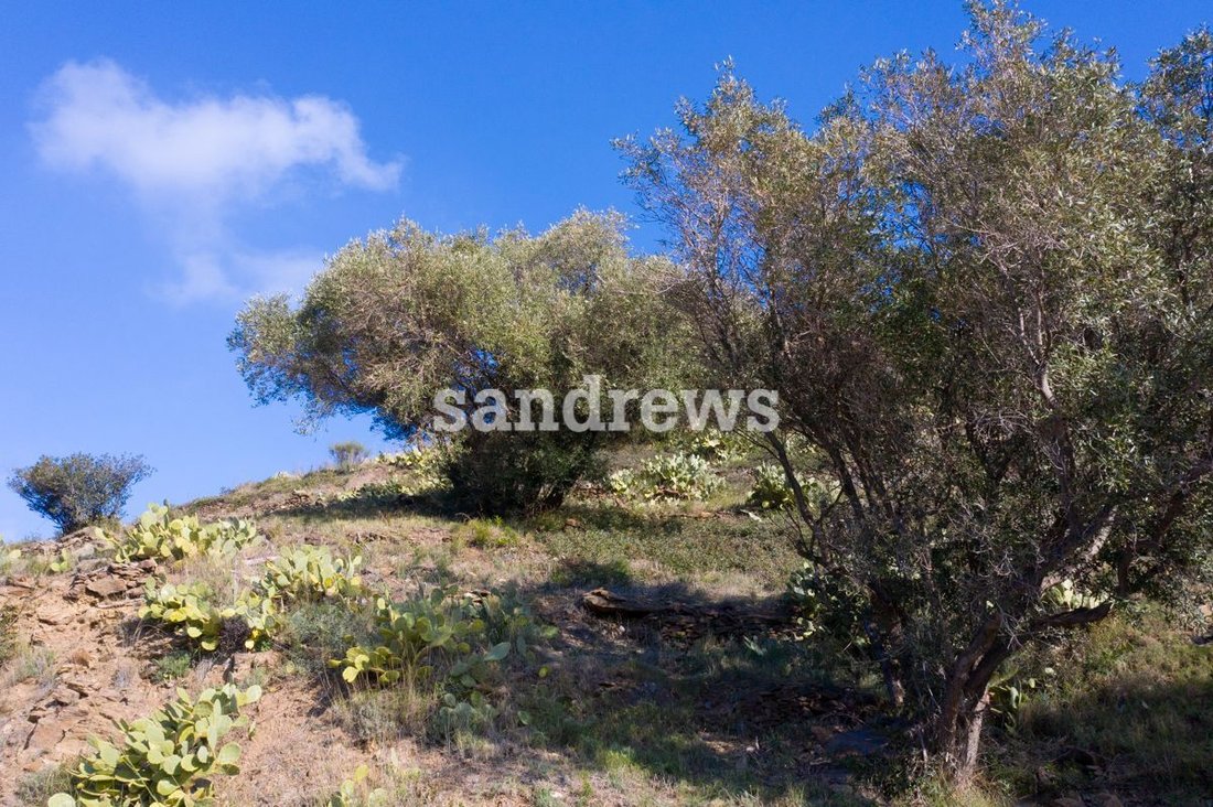 Land in el Port de la Selva, Catalonia, Spain 5 - 18351060