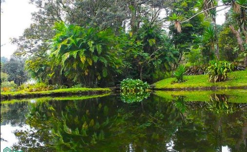 Land in Montecito, Heredia Province, Costa Rica 1