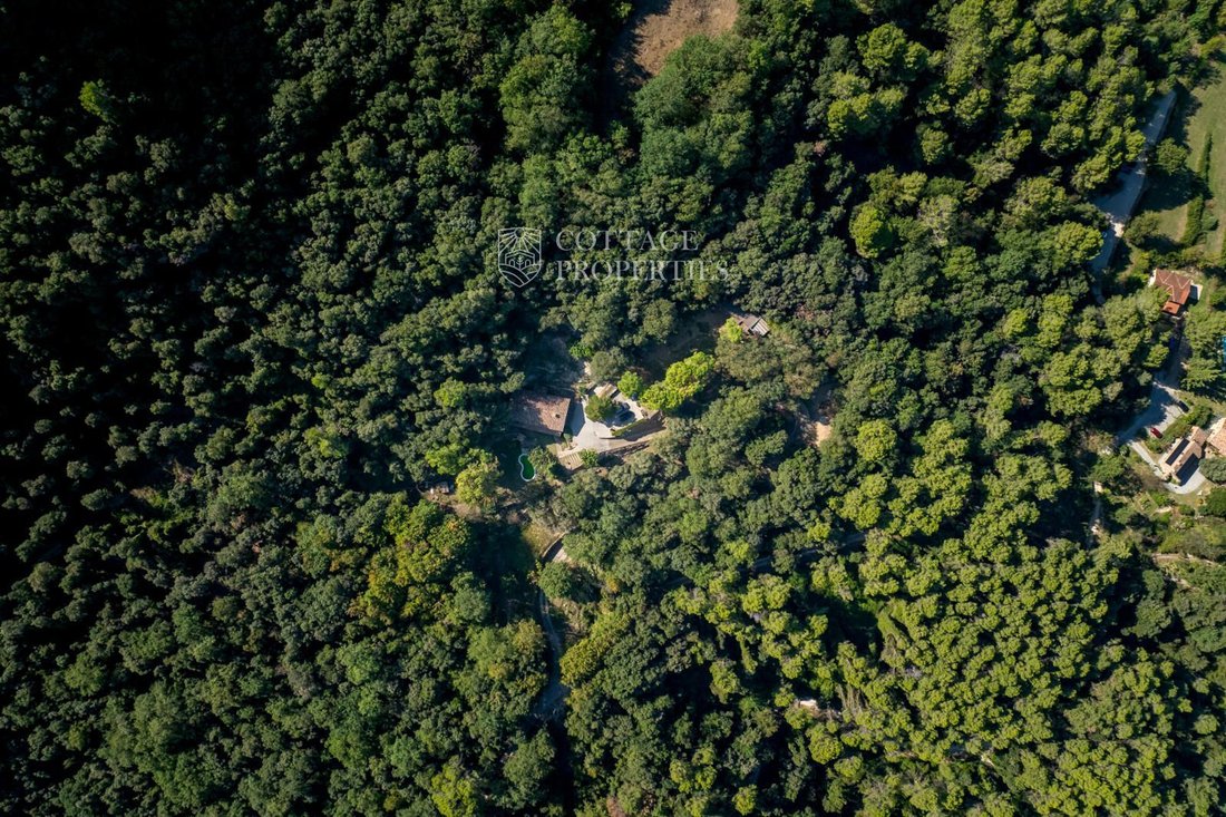Finca in Sant Miquel de Campmajor, Catalonia, Spain 2 - 18352360
