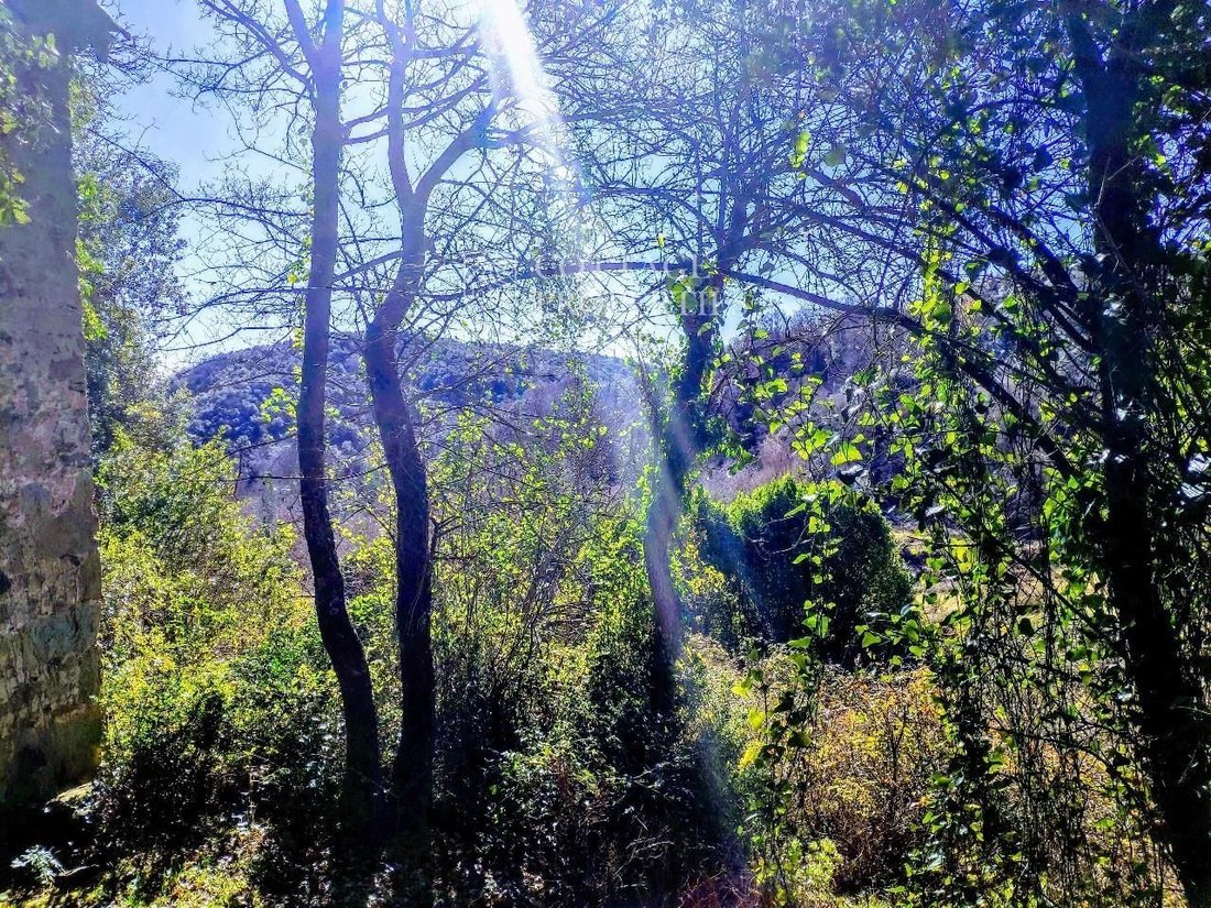 Finca in la Vall d'en Bas, Catalonia, Spain 5 - 18352469