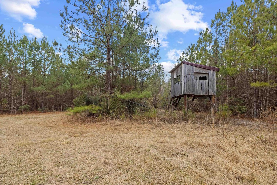 Land in Salters, South Carolina, United States 2 - 18352832