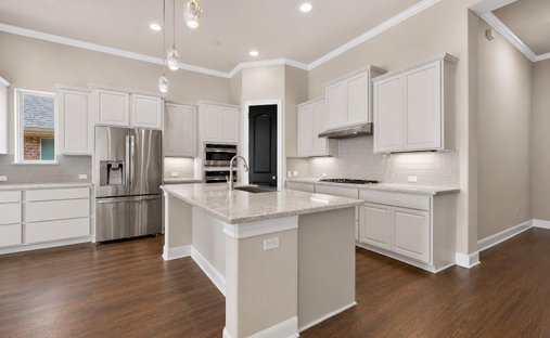 House in Leander, Texas, United States 1