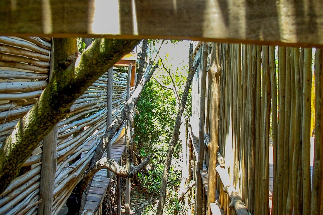 House in Holbox, Quintana Roo, Mexico 4 - 18352901
