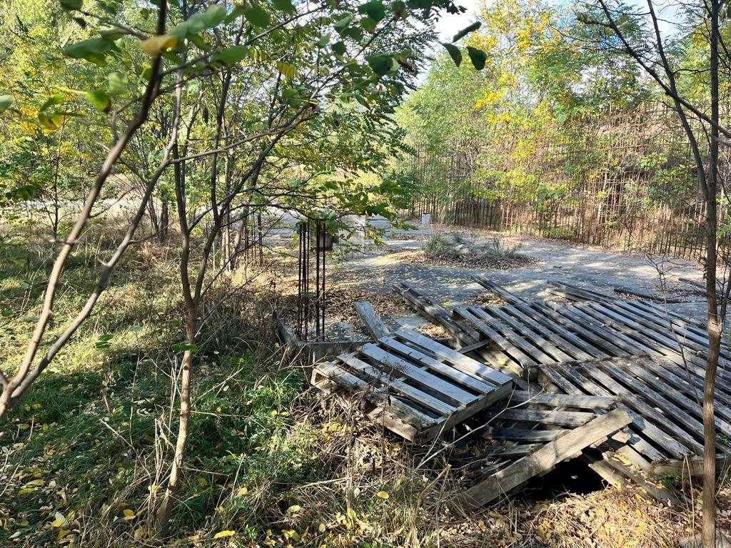 Land in Puigcerda, Catalonia, Spain 4 - 18351068