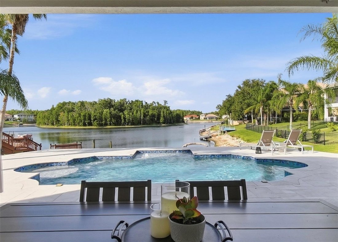 House in Tampa, Florida, United States 3 - 18353434