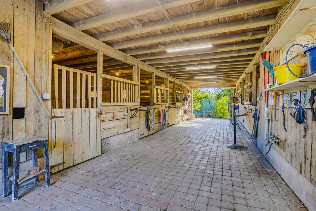 House in La Plata, Maryland, United States 3 - 18350681