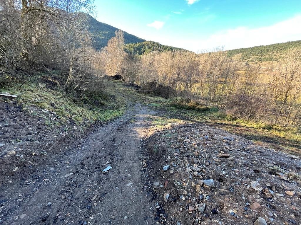 Land in Bellver de Cerdanya, Catalonia, Spain 2 - 18351124