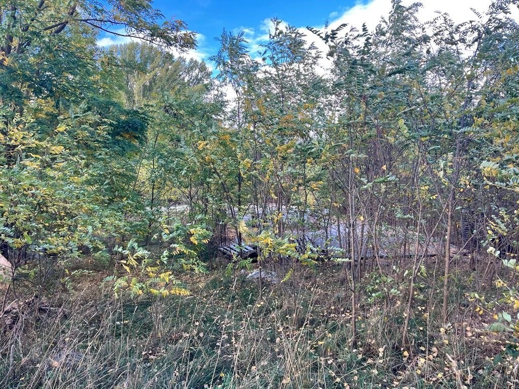 Land in Puigcerda, Catalonia, Spain 2 - 18351068