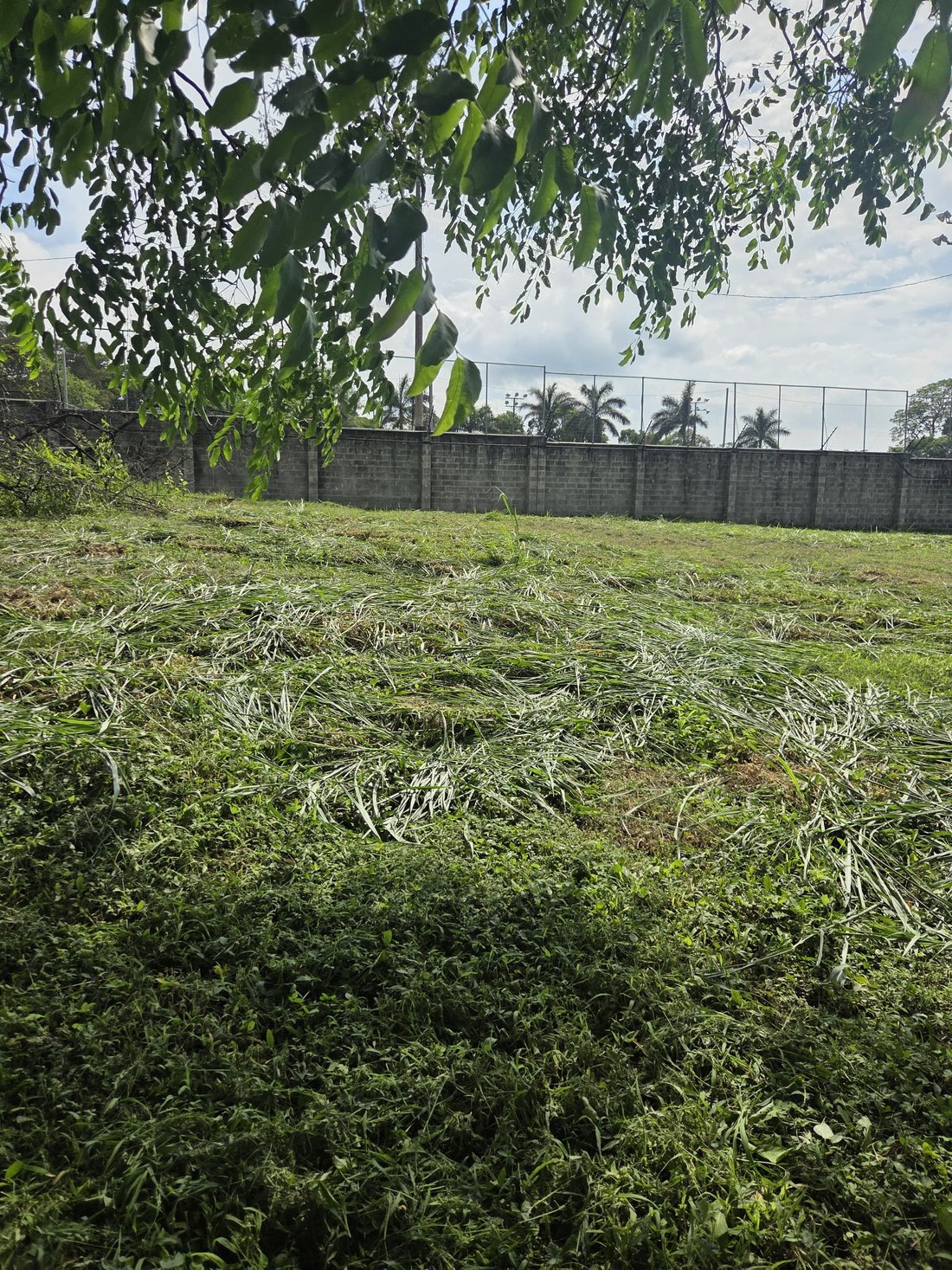 Eigentumswohnung in Río Oro, San José, Costa Rica 1 - 18350801