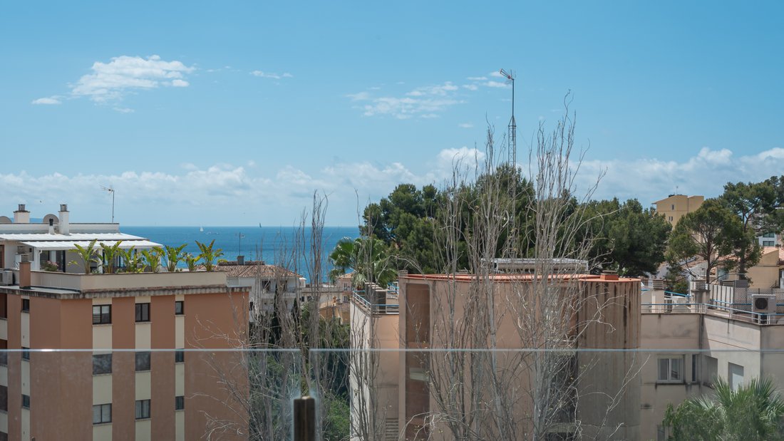 Apartment in Palma, Balearic Islands, Spain 2 - 14302998