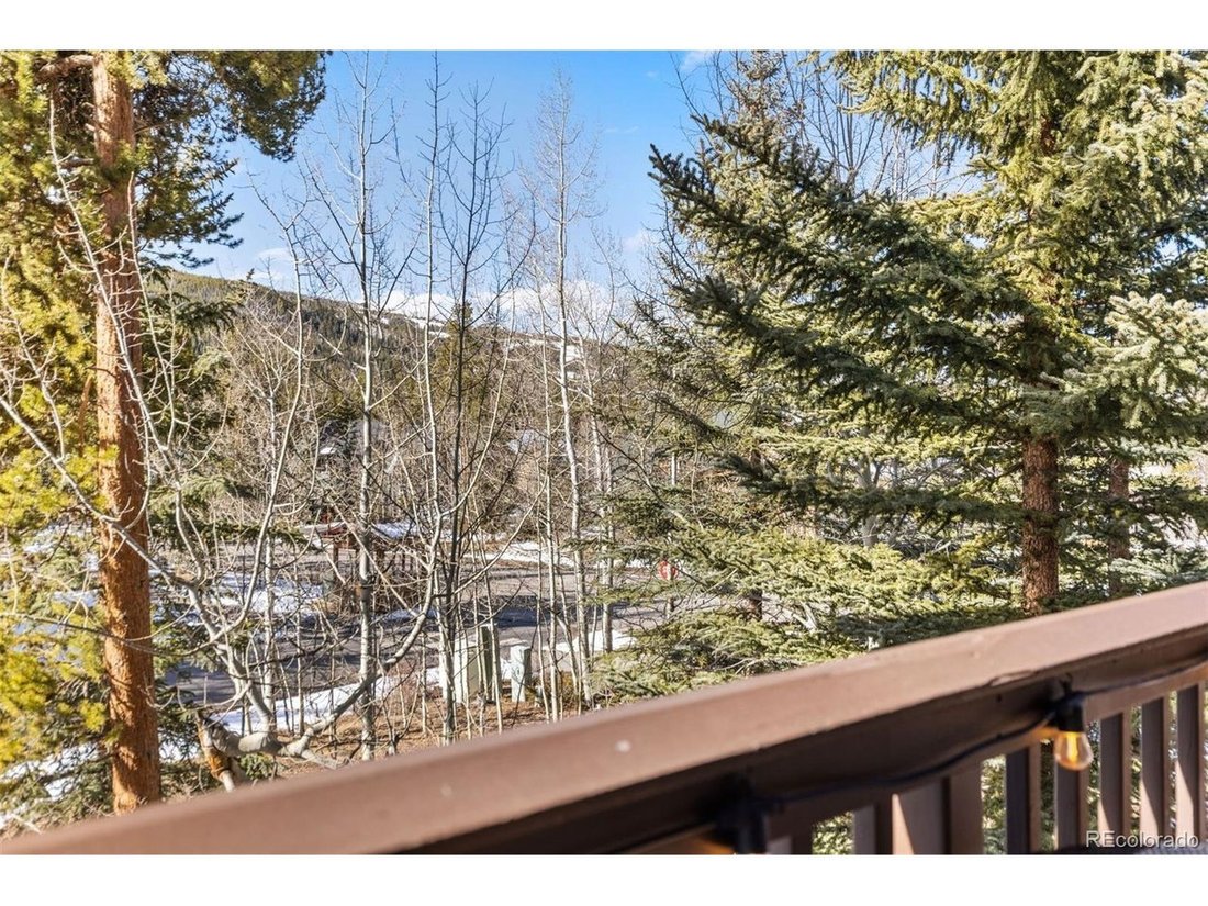 Condominio a Public Defender, Colorado, Stati Uniti 3 - 18353937