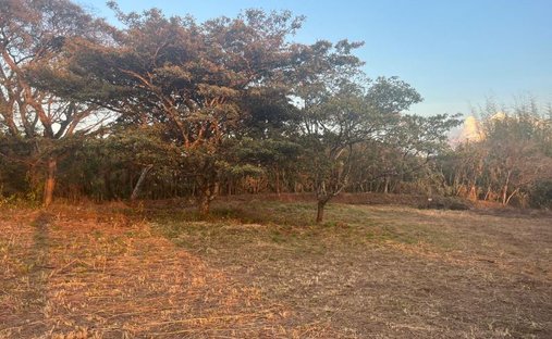 Land in Alajuela, Costa Rica 1