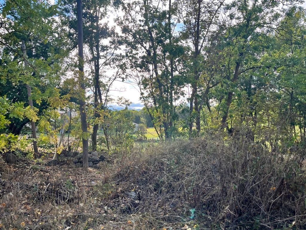 Land in Puigcerda, Catalonia, Spain 3 - 18351068