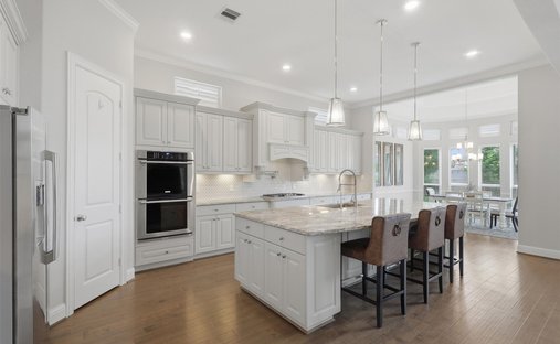 House in Friendswood, Texas, United States 1