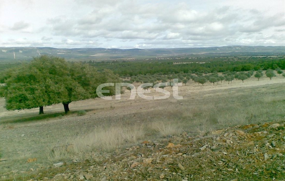 Finca in Horcajo de los Montes, Castile-La Mancha, Spain 5 - 18357538
