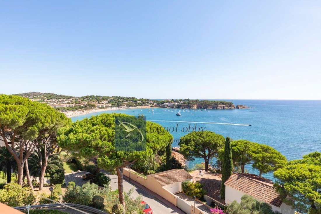 Apartment in s'Agaro, Platja d'Aro, Catalonia 2 - 18351847