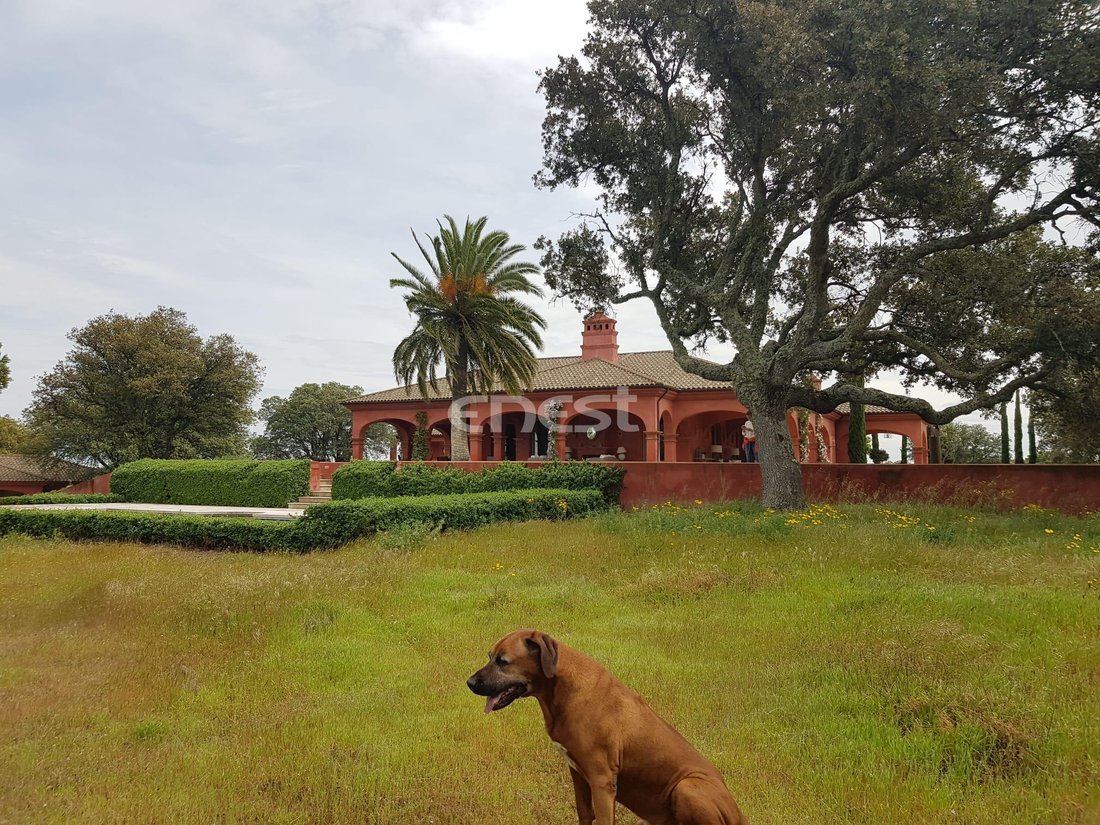 Finca a Torrejón el Rubio, Estremadura, Spagna 4 - 18357479