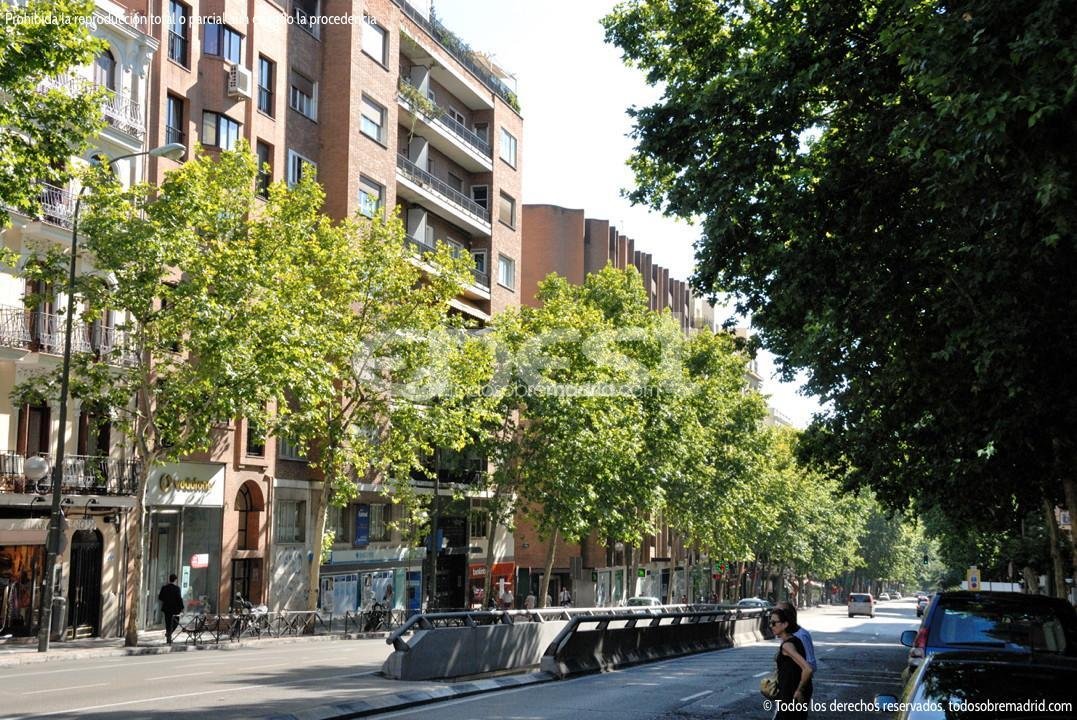 Apartment in Moncloa-Aravaca, Madrid, Spain 1 - 18358759