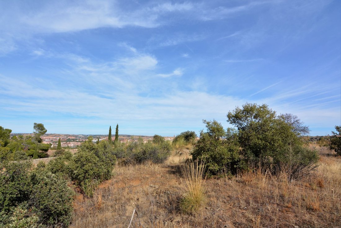 Land in Toledo, Castile-La Mancha, Spain 5 - 18357133