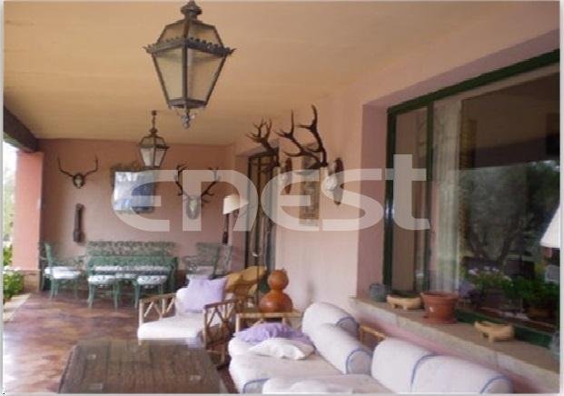 Finca in Horcajo de los Montes, Castile-La Mancha, Spain 2 - 18357538