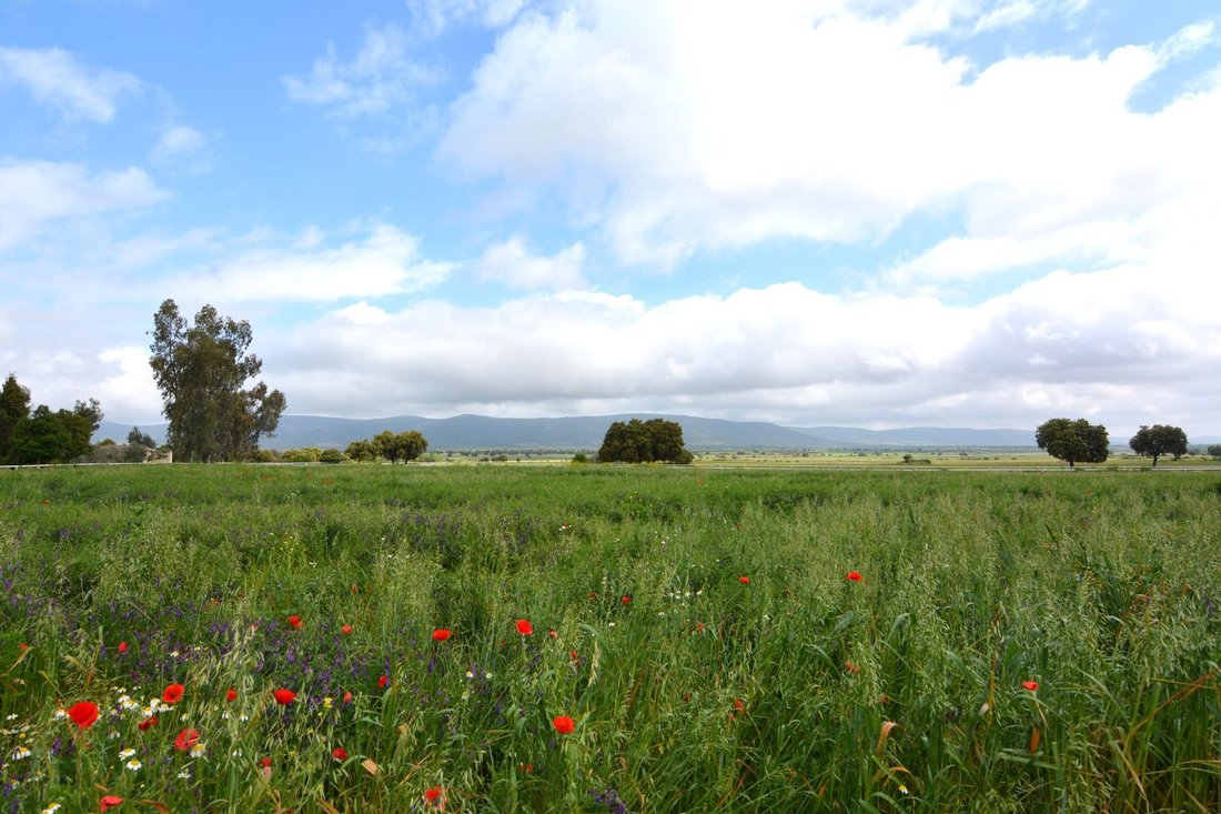 Finca in Toledo, Castile-La Mancha, Spain 2 - 18357603