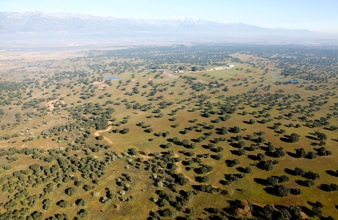 Finca in Cáceres, Extremadura, Spain 3 - 18357289