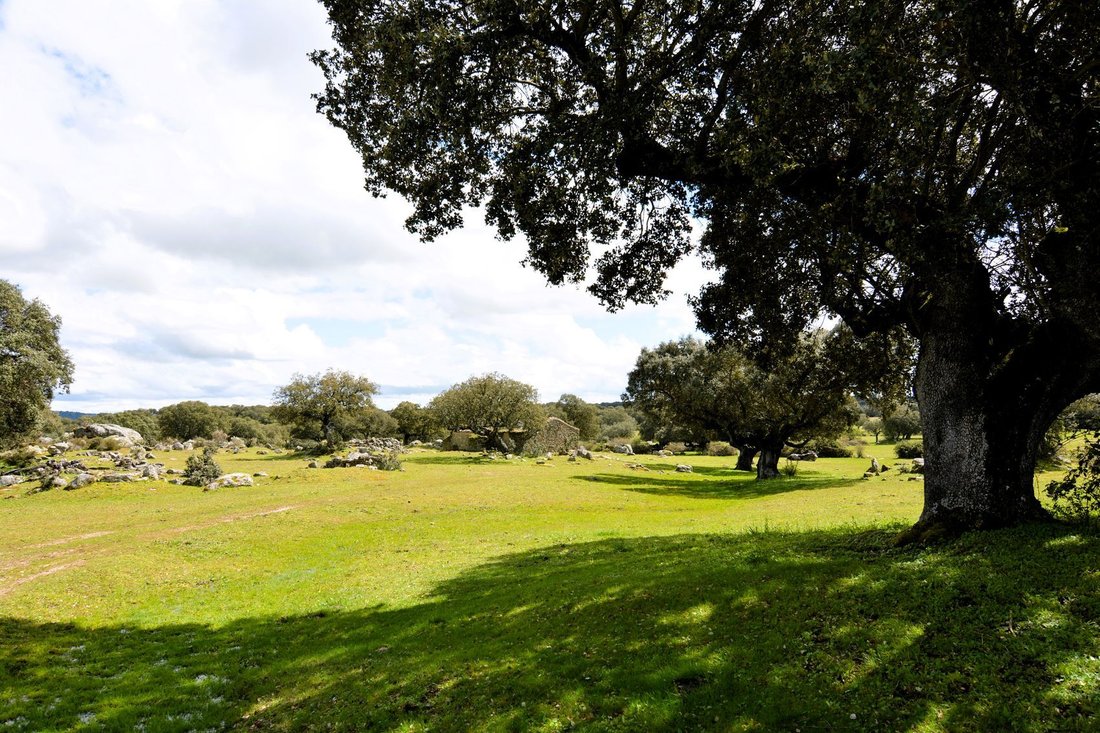 Finca in Ledesma, Castile and Leon, Spain 4 - 18358153