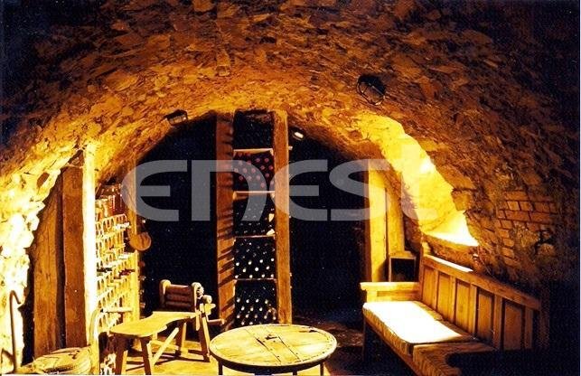 Finca in Horcajo de los Montes, Castile-La Mancha, Spain 4 - 18357538