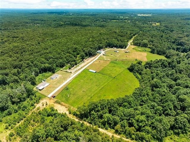 Carriere, Mississippi, United States 1 - 18359044