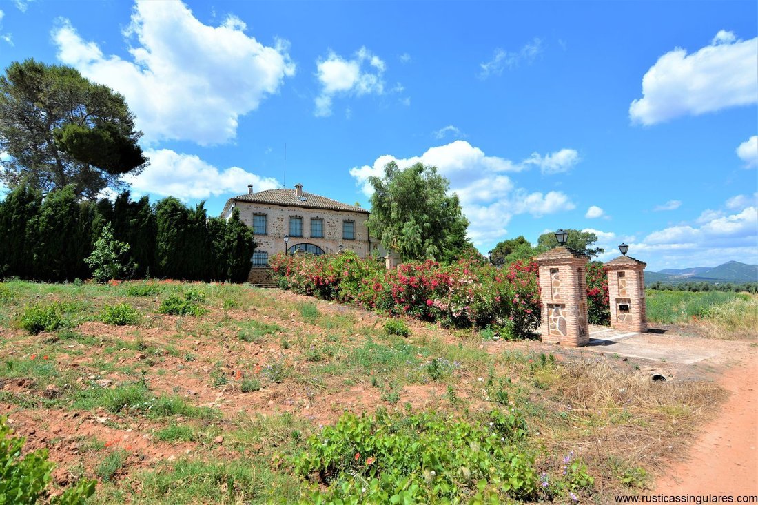 Country House in Piedrabuena, Castile-La Mancha, Spain 3 - 18359067