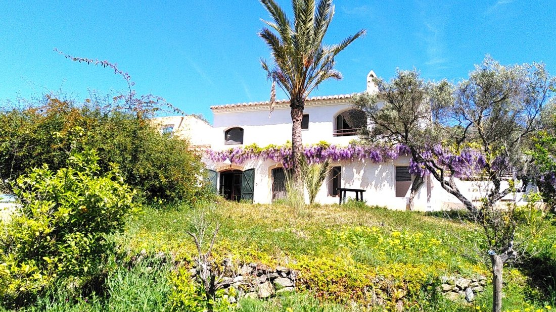Finca in Frigiliana, Andalusia, Spain 2 - 18358442