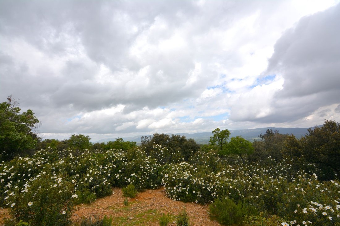 Finca in Toledo, Castile-La Mancha, Spain 3 - 18357603
