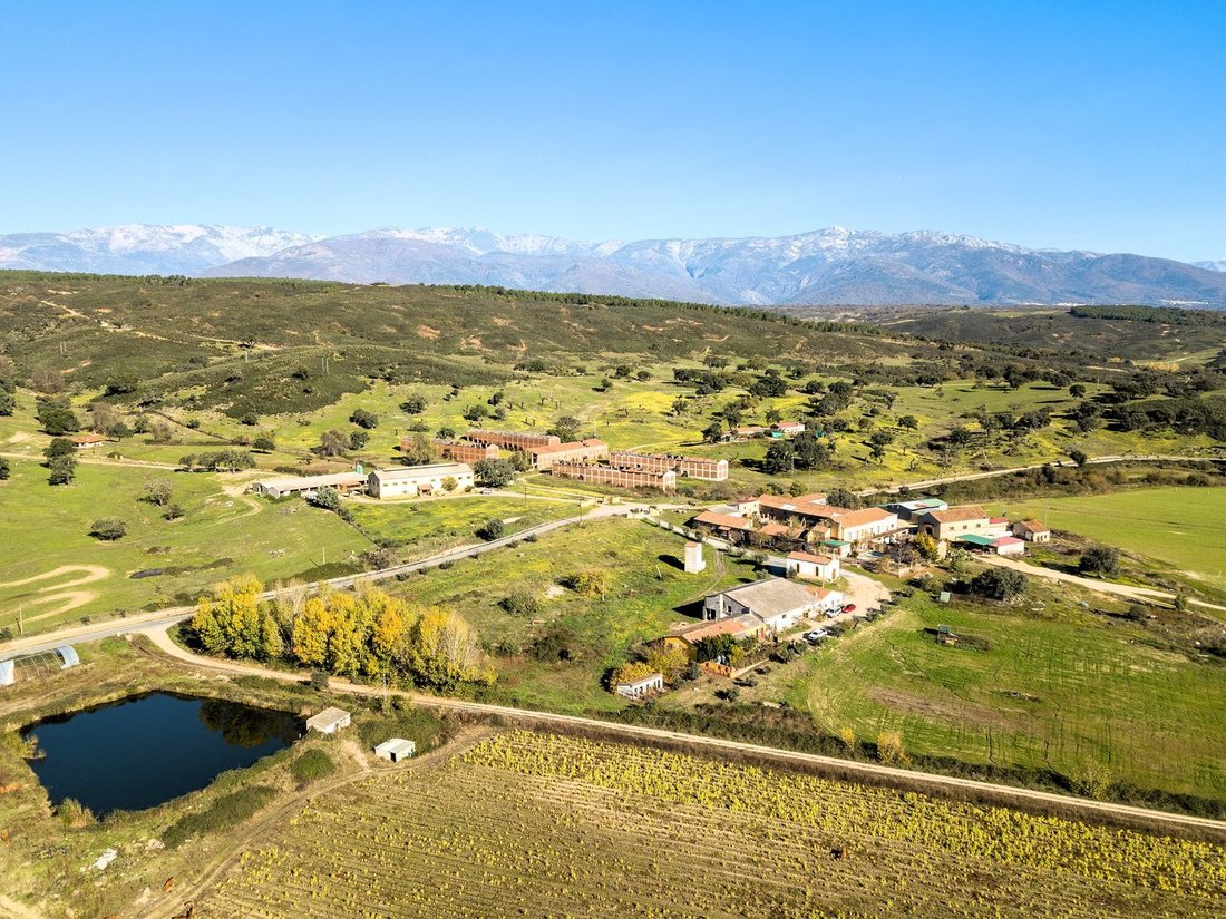 Finca in Navalmoral de la Mata, Extremadura, Spain 2 - 18358328