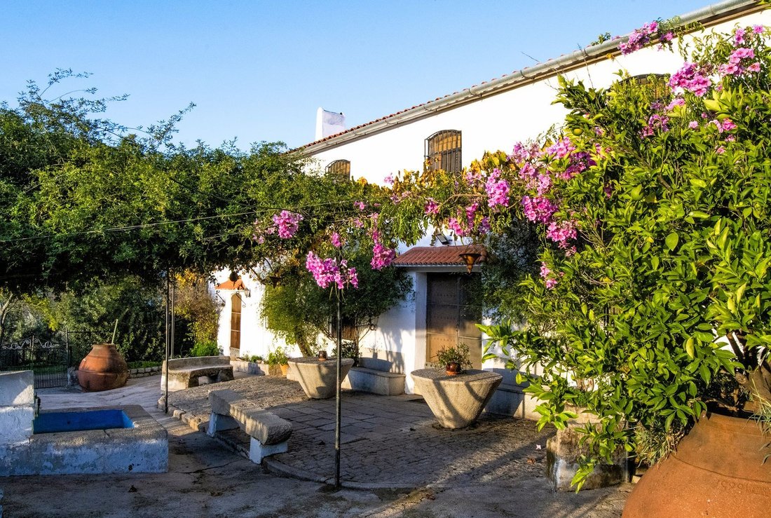 Country House in Obejo, Andalusia, Spain 5 - 18358616