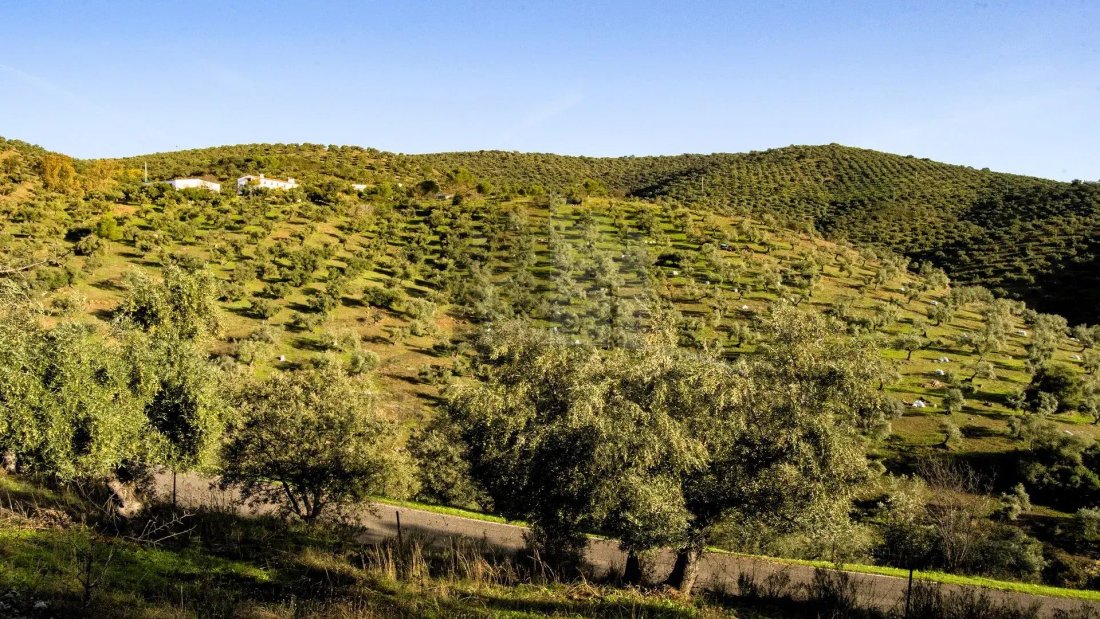 Country House in Obejo, Andalusia, Spain 1 - 18358616