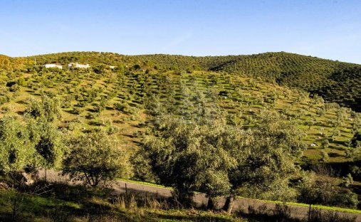 Country House in Obejo, Andalusia, Spain 1