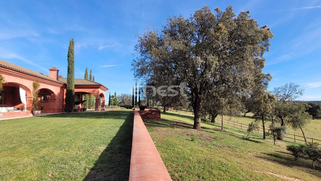 Finca a Torrejón el Rubio, Estremadura, Spagna 3 - 18357479