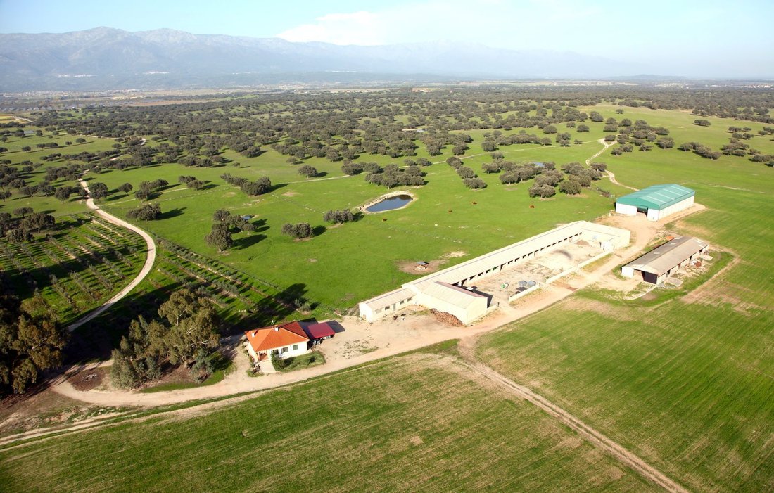 Finca in Cáceres, Extremadura, Spain 2 - 18357289