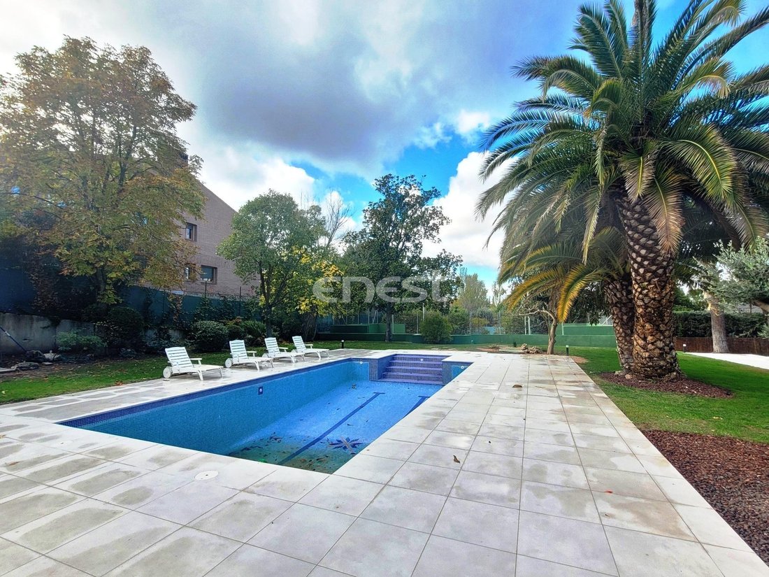 House in Somosaguas, Pozuelo de Alarcon, Comunidad de Madrid 3 - 18358099