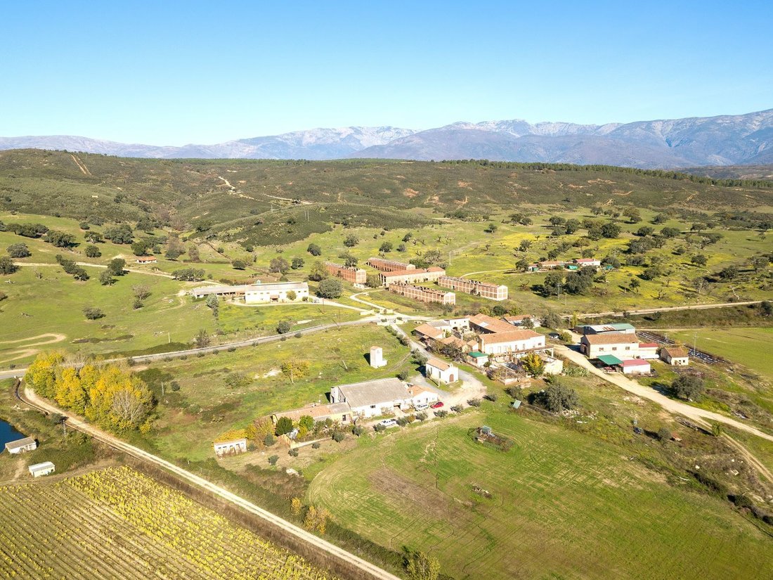 Finca in Navalmoral de la Mata, Extremadura, Spain 3 - 18358328